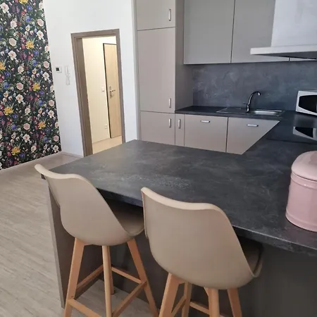 Luxusni Glam U Brna - Vana, Terasa, Nebesa, Parkovani Zdarma Daire *